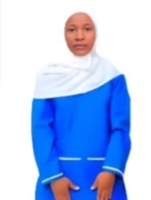 بيلاينش إرسينو أورفيتشو